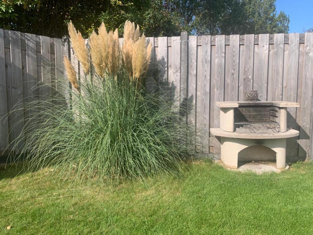 Holiday Cottage With Sauna In Zeeland Stavenisse Bagian luar foto